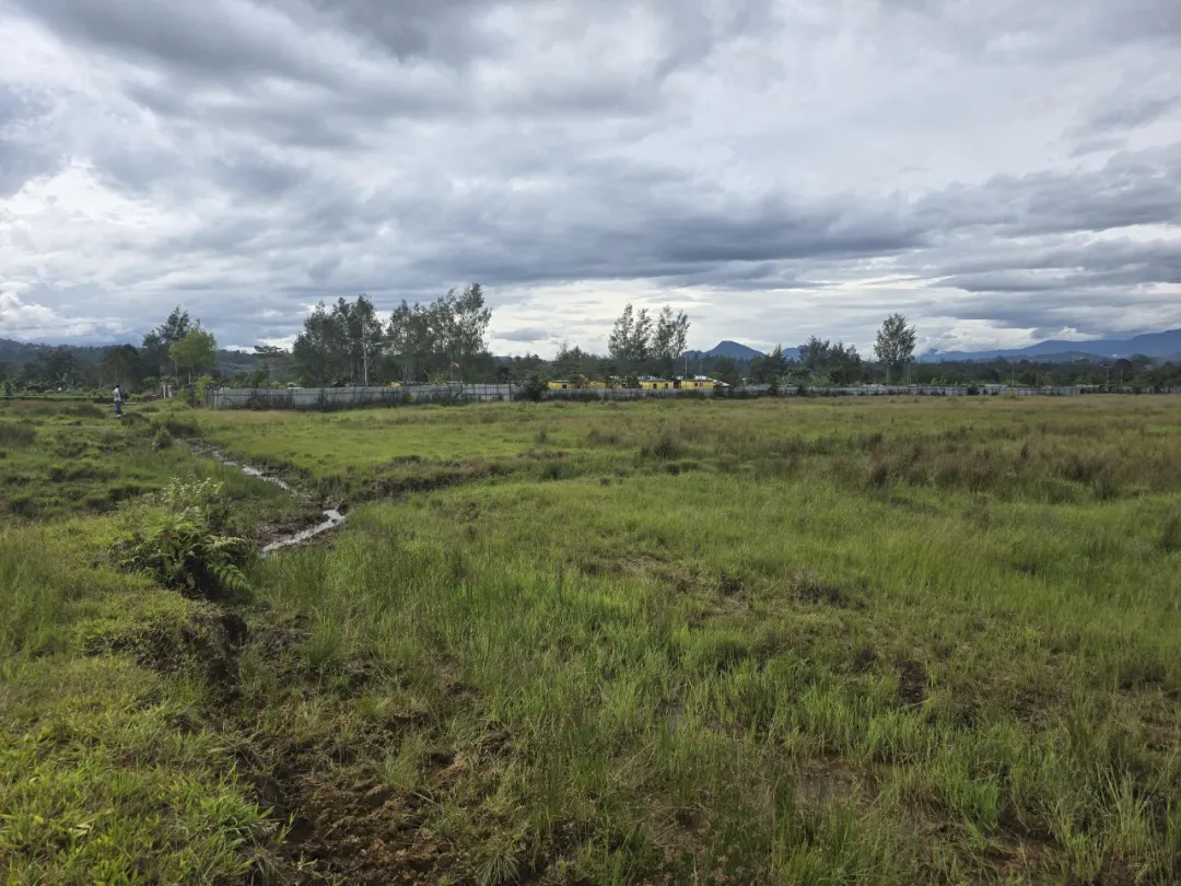640.webp (2).png