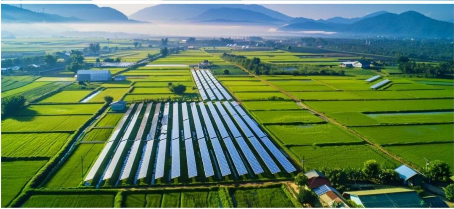 Agrivoltaic solar panels installed above green farmland